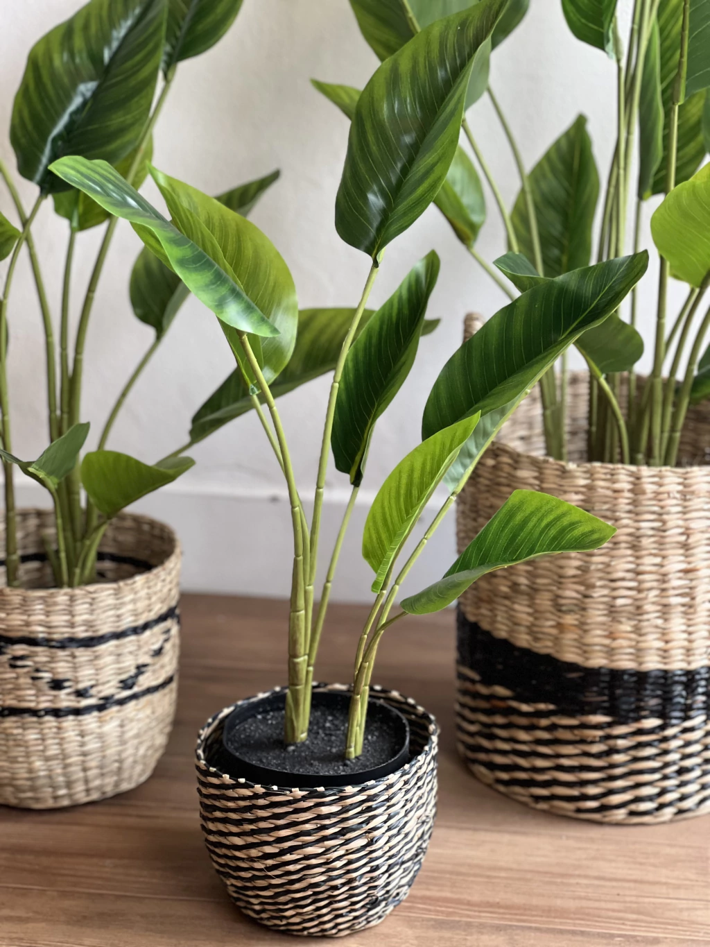 Planta Artificial 60cm